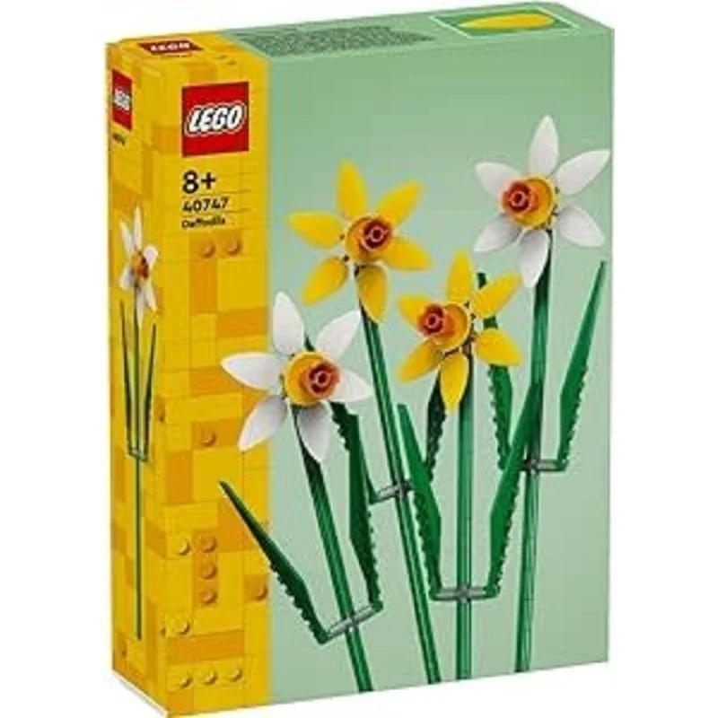 40747 Daffodils