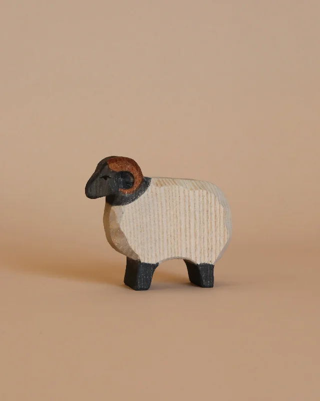 Ostheimer Moorland Ram