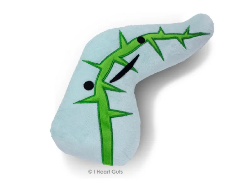 Pancreas Plush