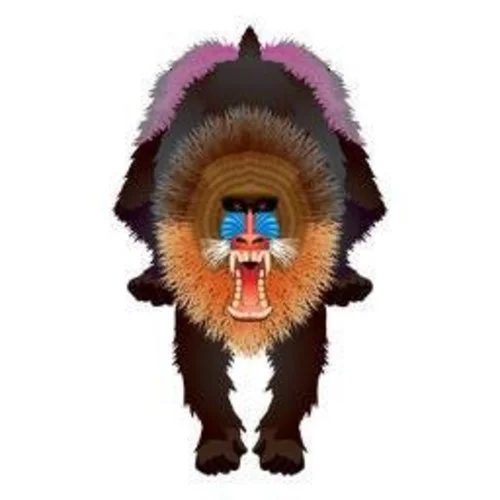 mandrill